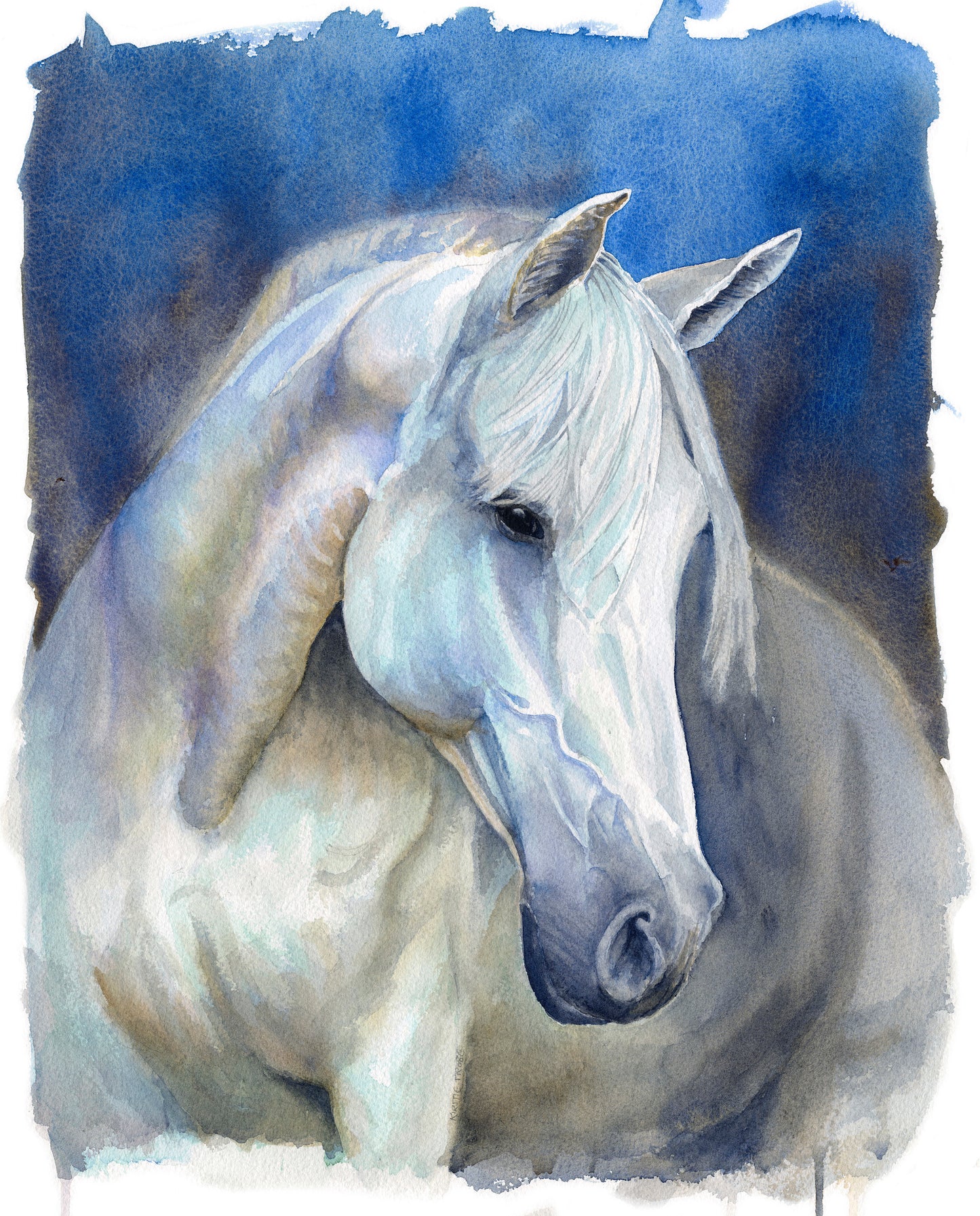Midnight Mare - Original Watercolour