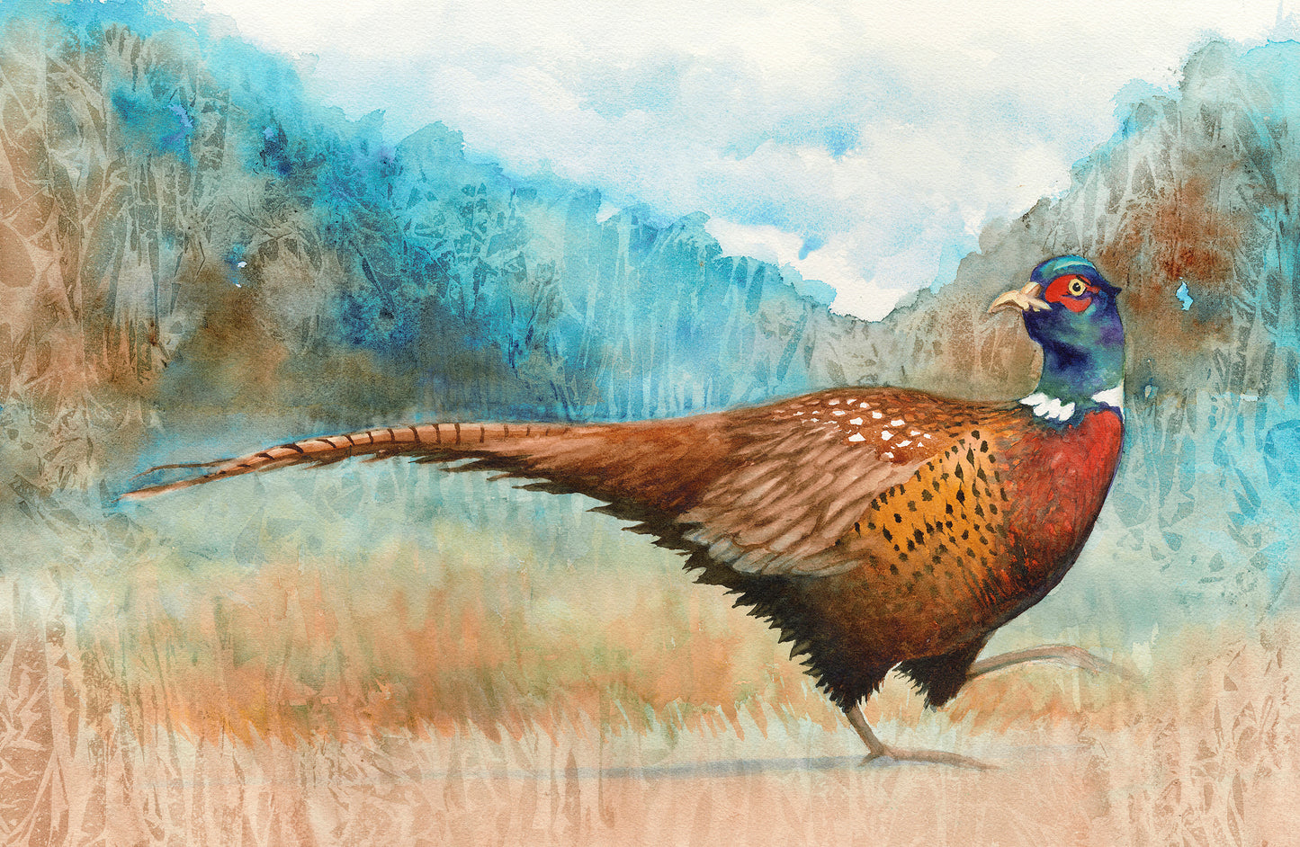 Pheasant, Fine Art Giclee 10x8" Mini Print