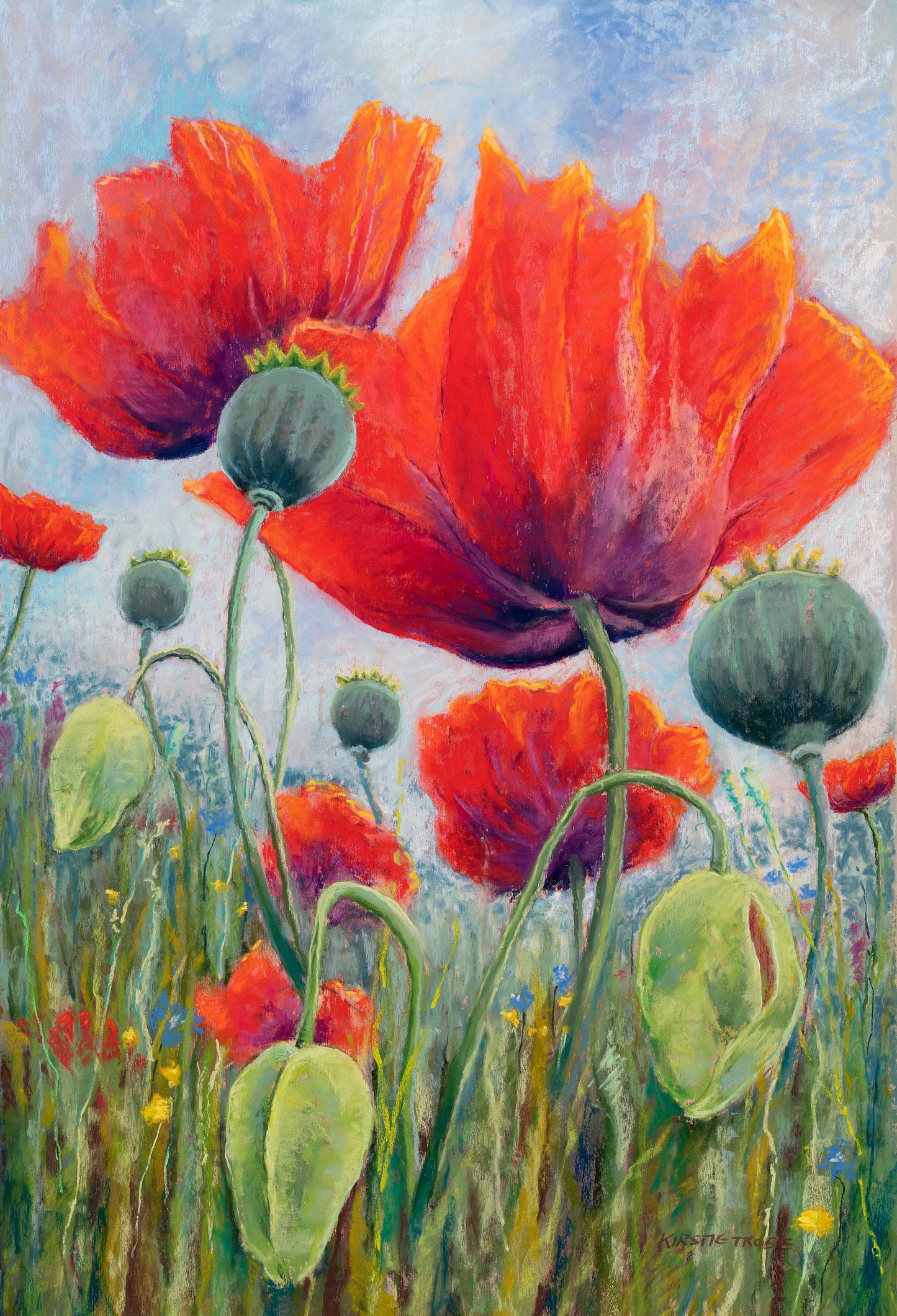 Poppy Meadow, Fine Art Giclee 10x8" Mini Print
