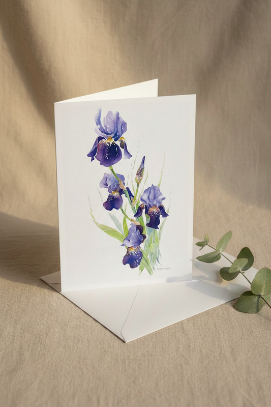 Iris
