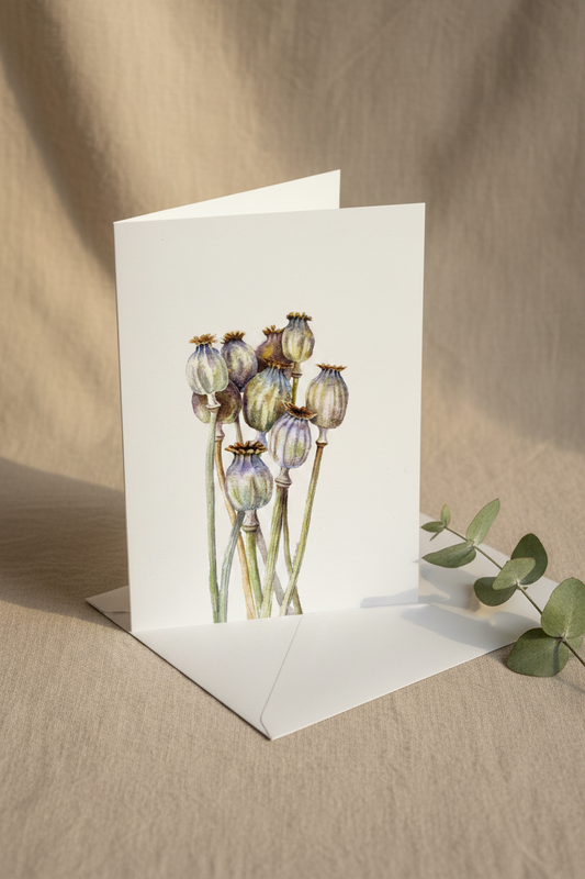 Seedhead Poppies