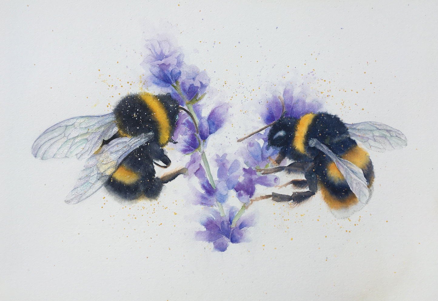 Bees, commissioned to have the couples initials hidden in the wings