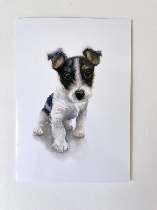 Abandoned Puppy. Image of a cute abandoned Jack Russell puppy staring imploringly out at the viewer. Centrally positioned against a white background. The puppy has a white body with black and tan markings and soft tufts of wiry fur around his muzzle and ears. A5 high gloss Greetings Card.