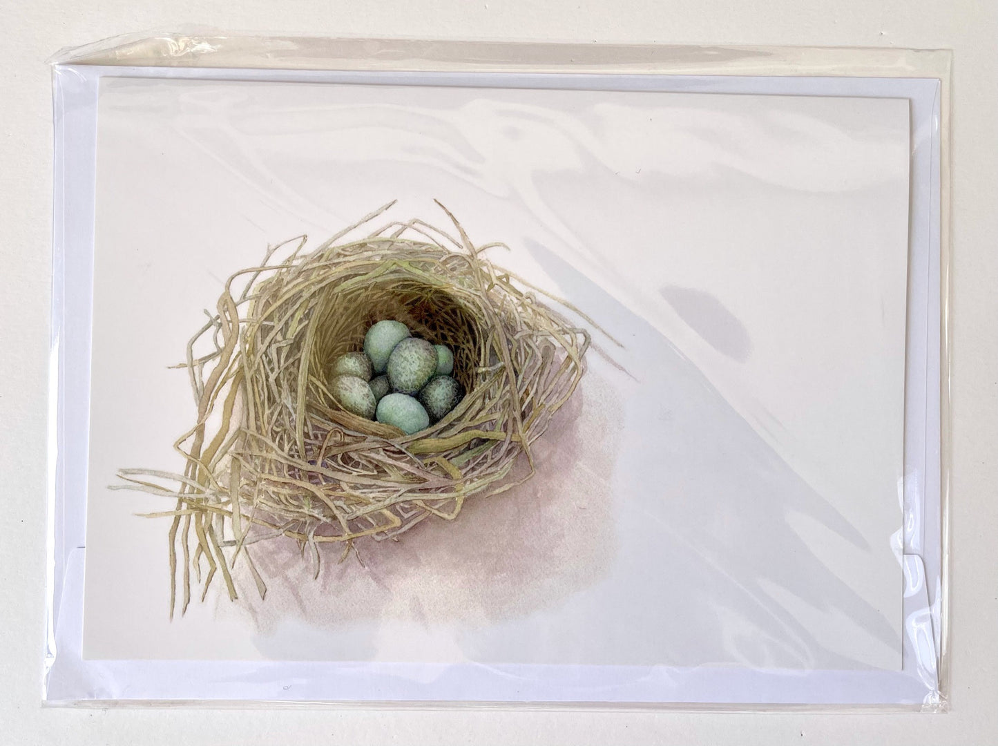 Blackbird's Nest, A5 Greeting Card. Blank inside.