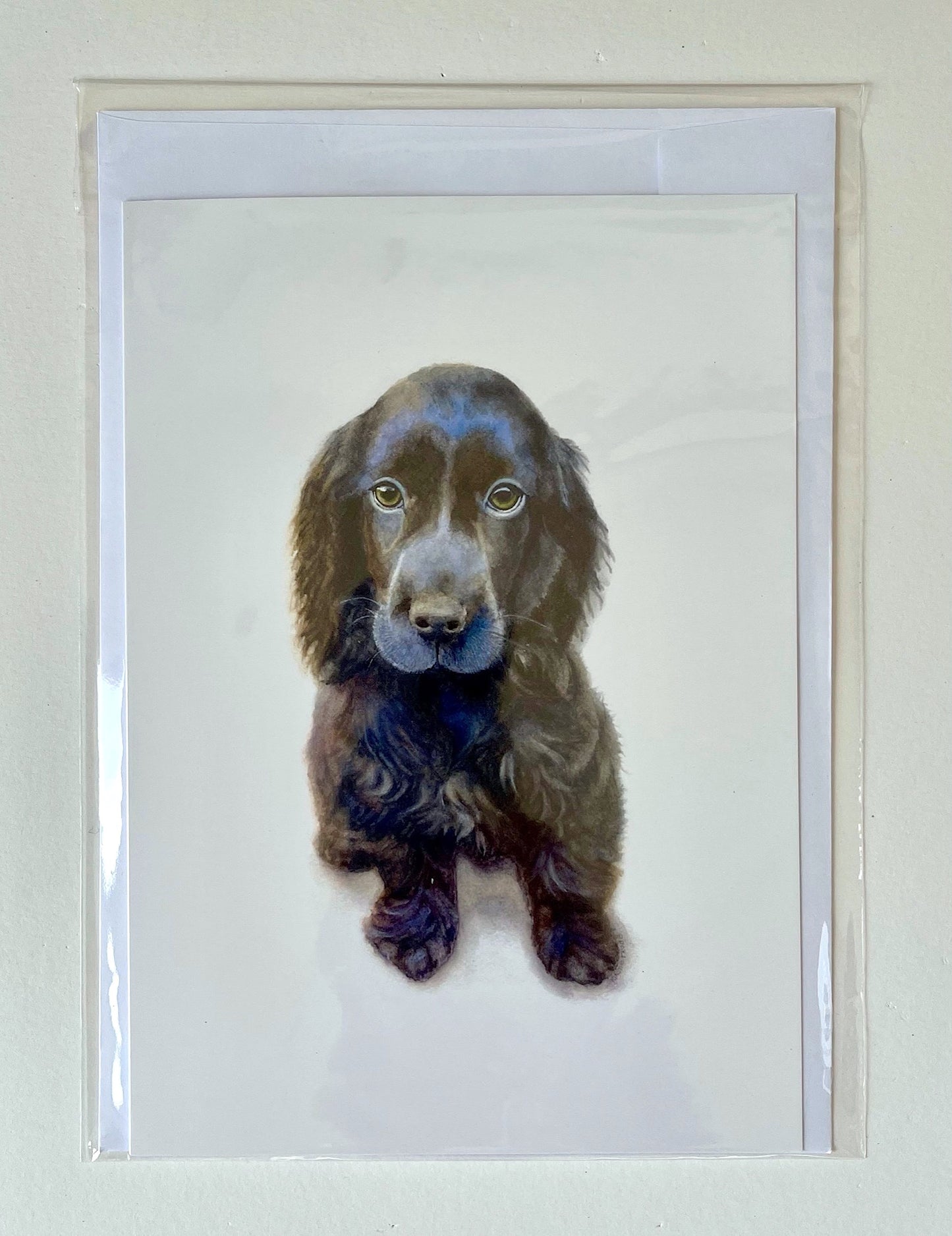 Blue Spaniel, A5 Greeting Card. Blank inside.
