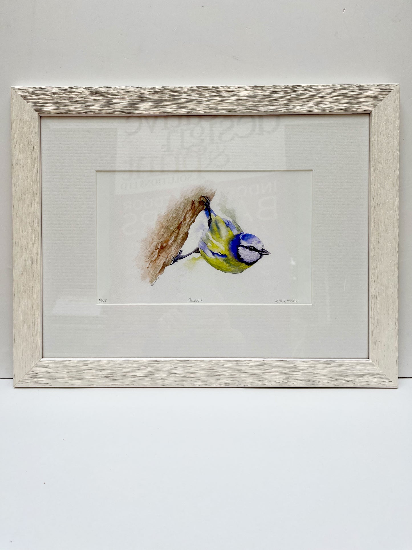 Bluetit, Fine Art Giclee Limited Edition Print