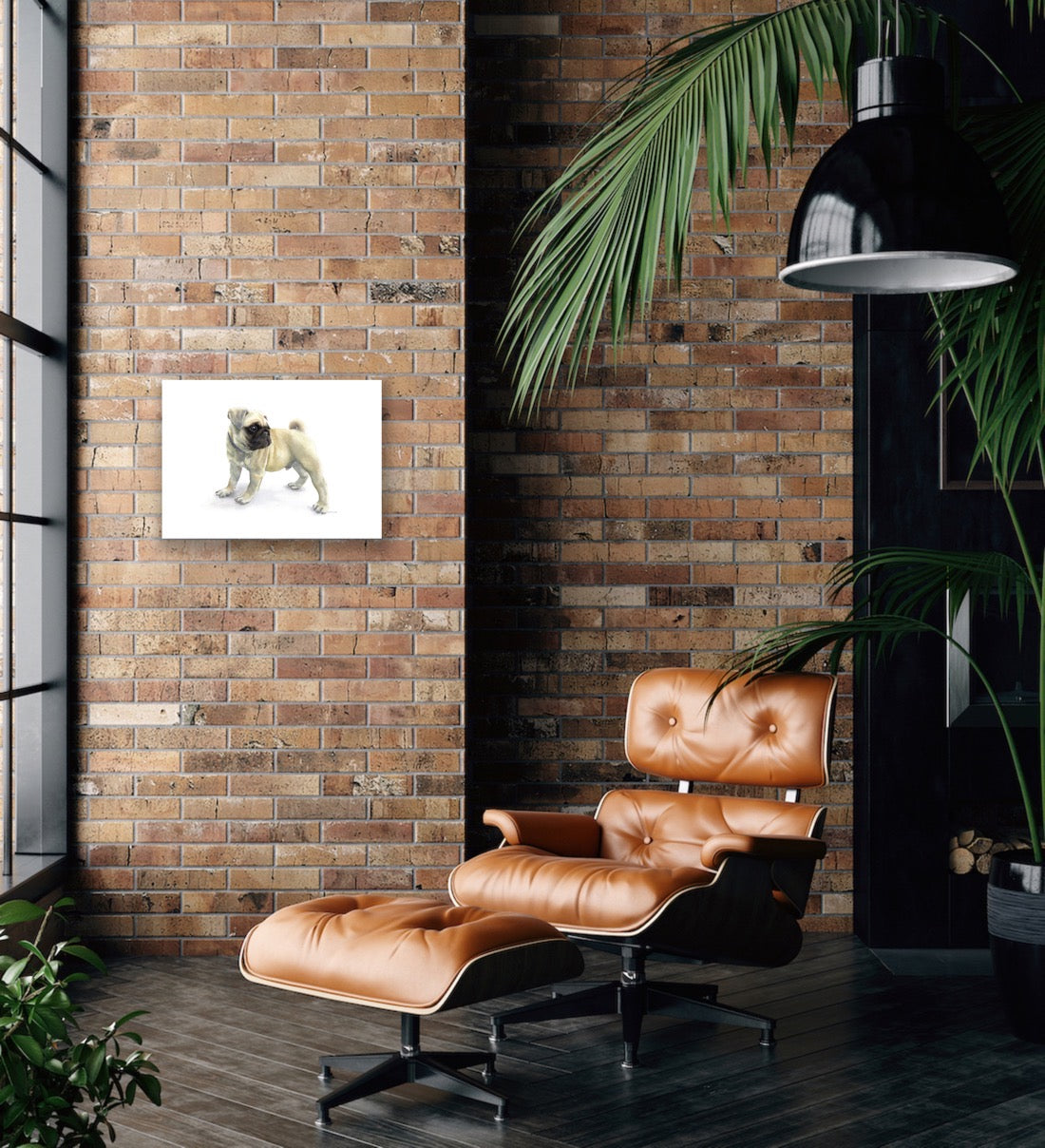 Pugnacious, Fine Art Giclee Limited Edition Print