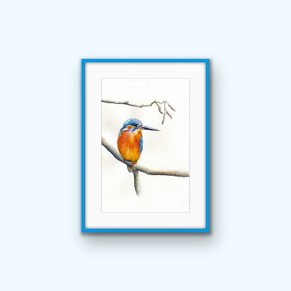 Kingfisher Resting, Fine Art Giclee Limited Edition Print