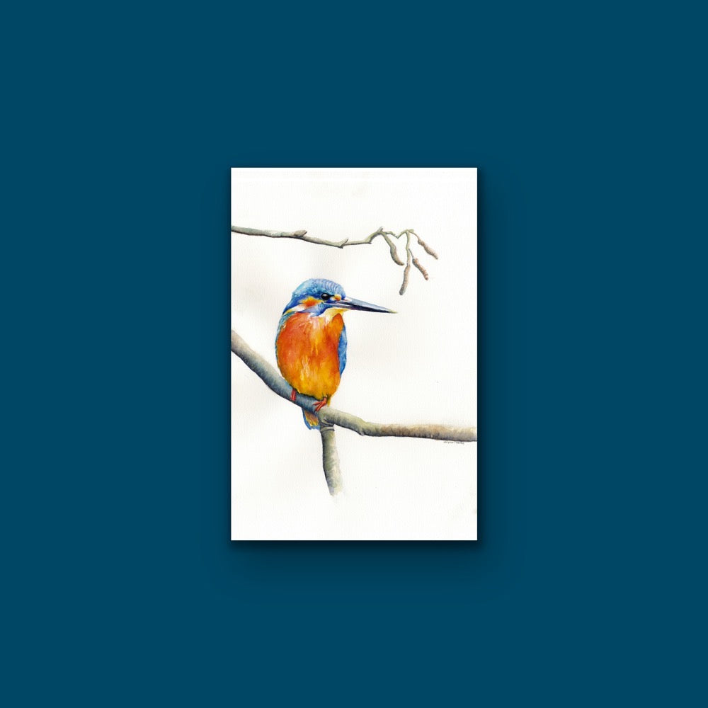Kingfisher Resting, Fine Art Giclee Limited Edition Print