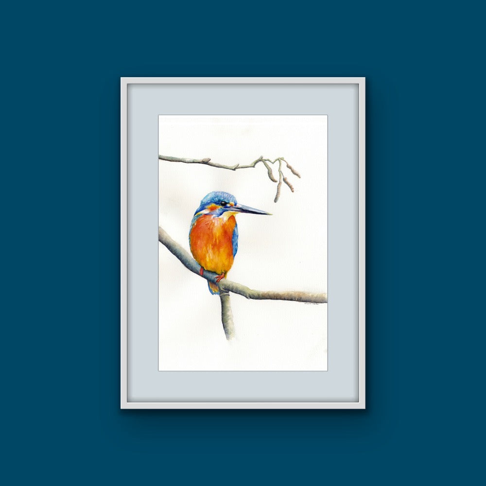 Kingfisher Resting, Fine Art Giclee Limited Edition Print
