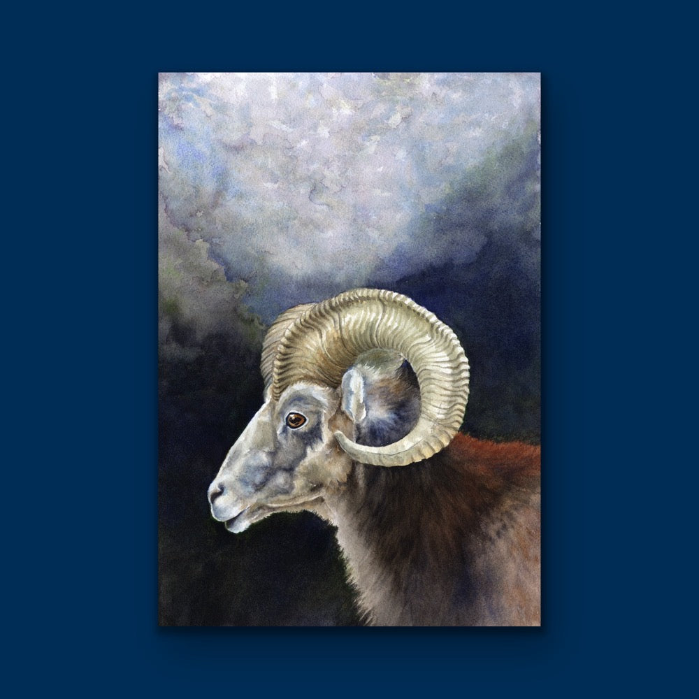 Ramesses, Fine Art Giclee Limited Edition Print