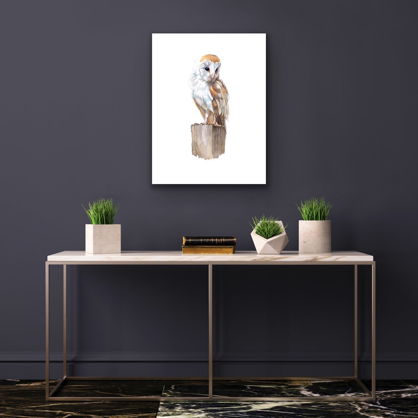 Barn Owl, Fine Art Giclee Limited Edition Print