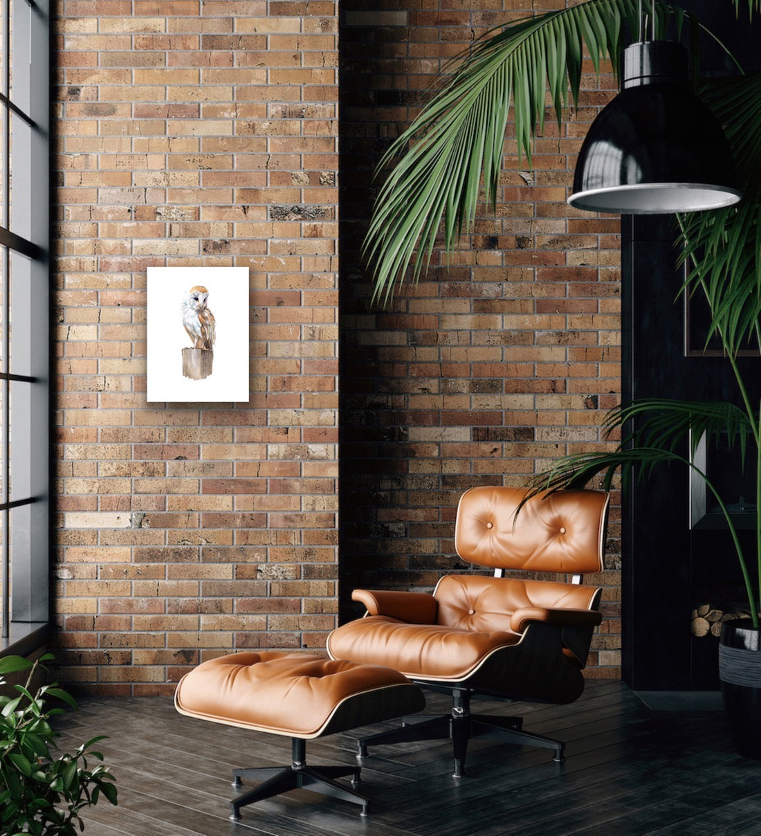 Barn Owl, Fine Art Giclee Limited Edition Print