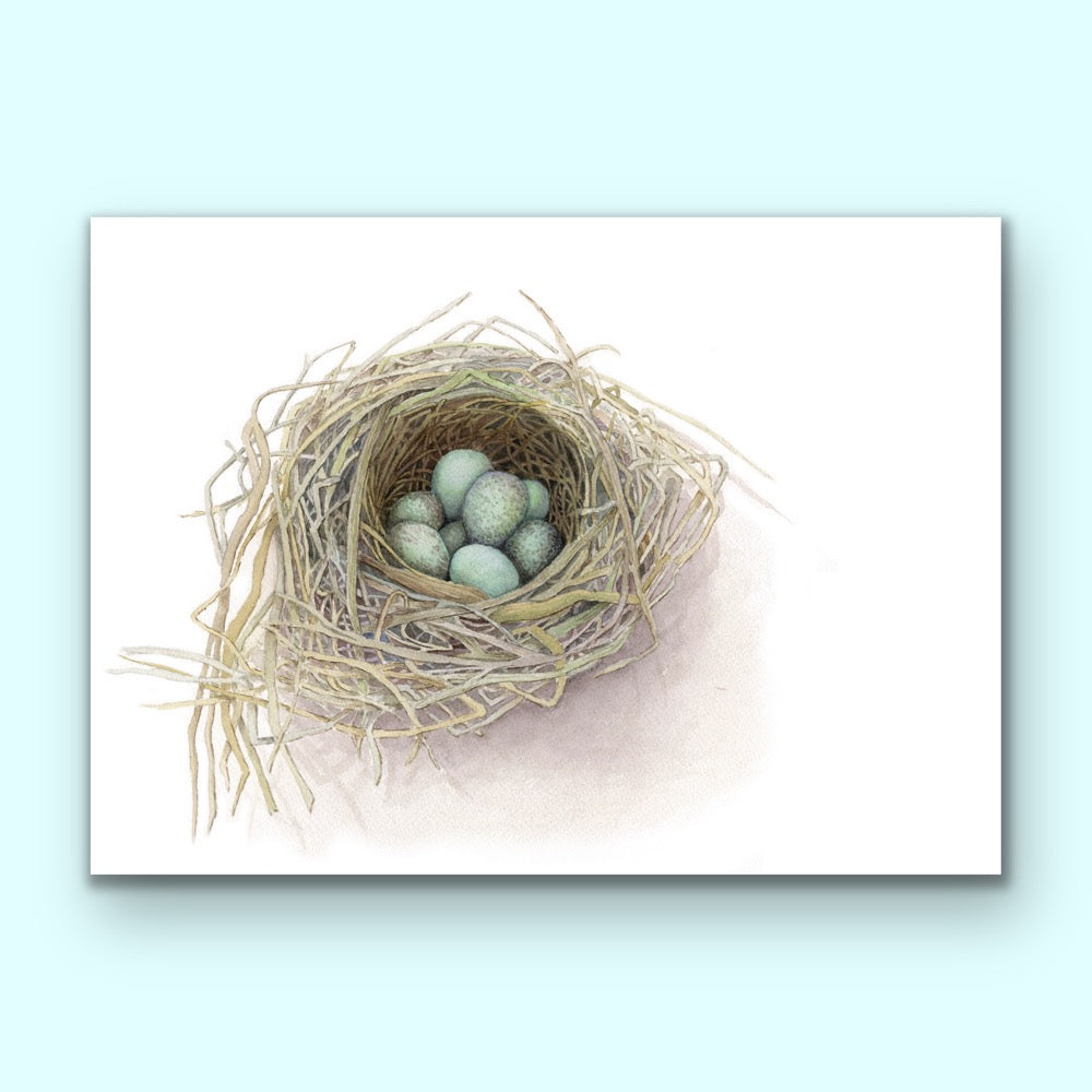 Blackbird's Nest, Fine Art Giclee Limited Edition Print