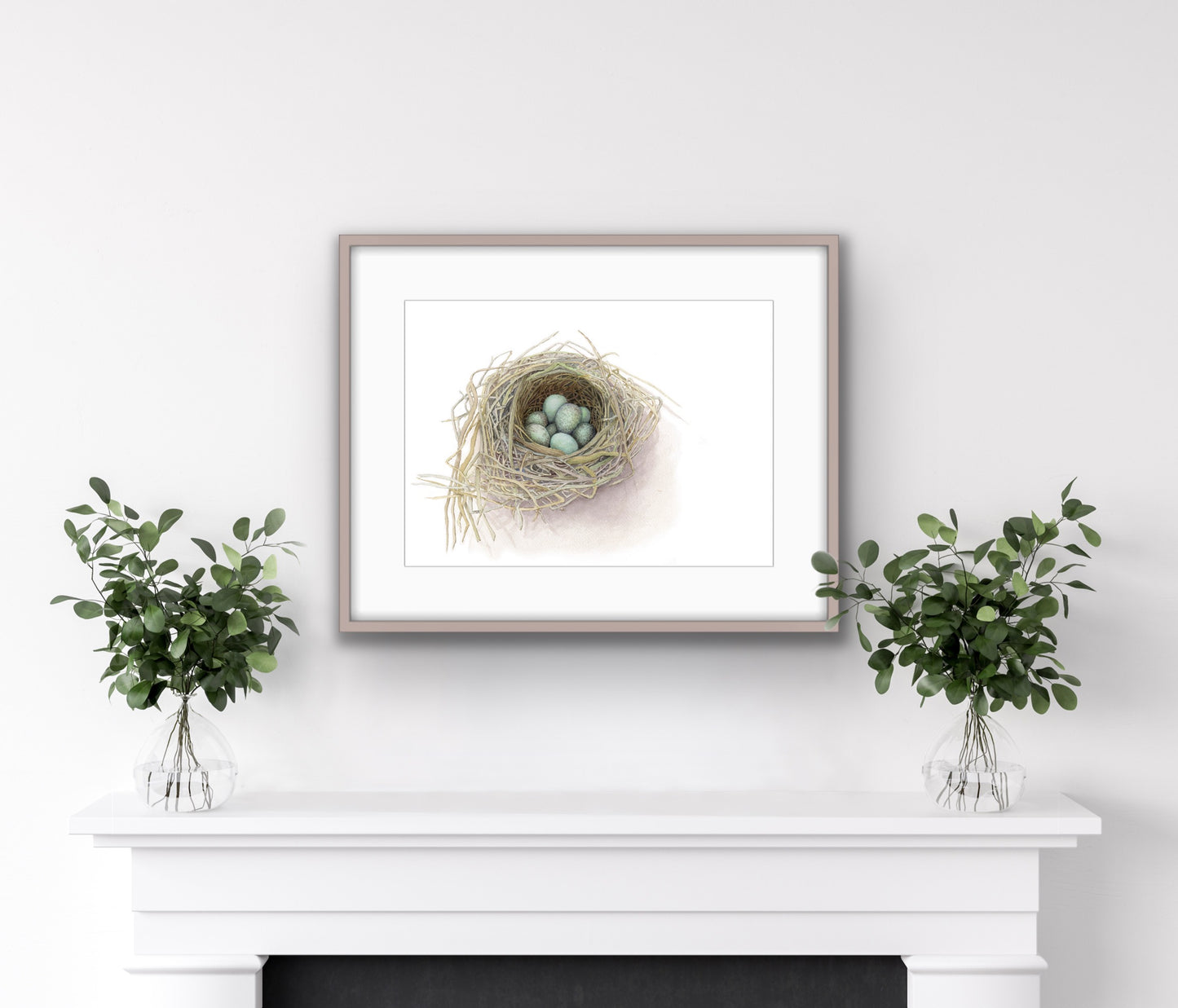 Blackbird's Nest, Fine Art Giclee Limited Edition Print