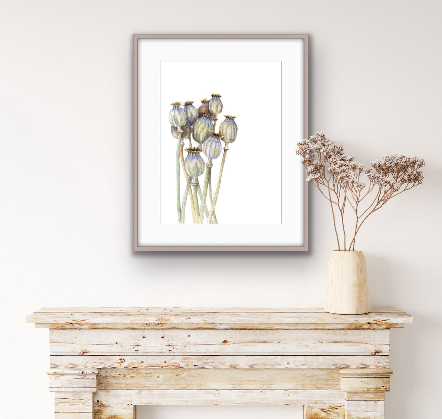 Seedhead Poppies, Fine Art Giclee Limited Edition Print