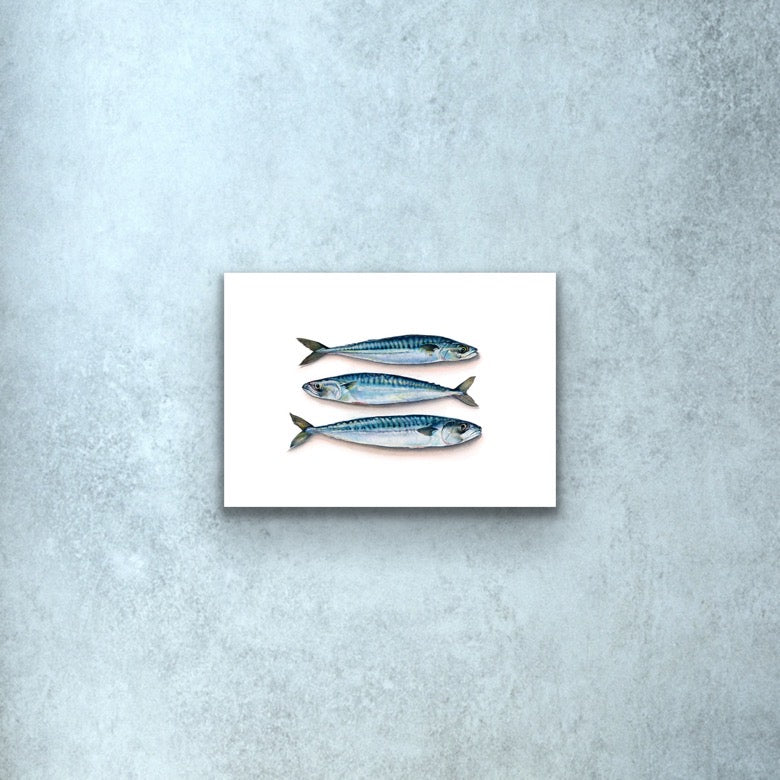 Catch of the Day, Fine Art Giclee Limited Edition Print