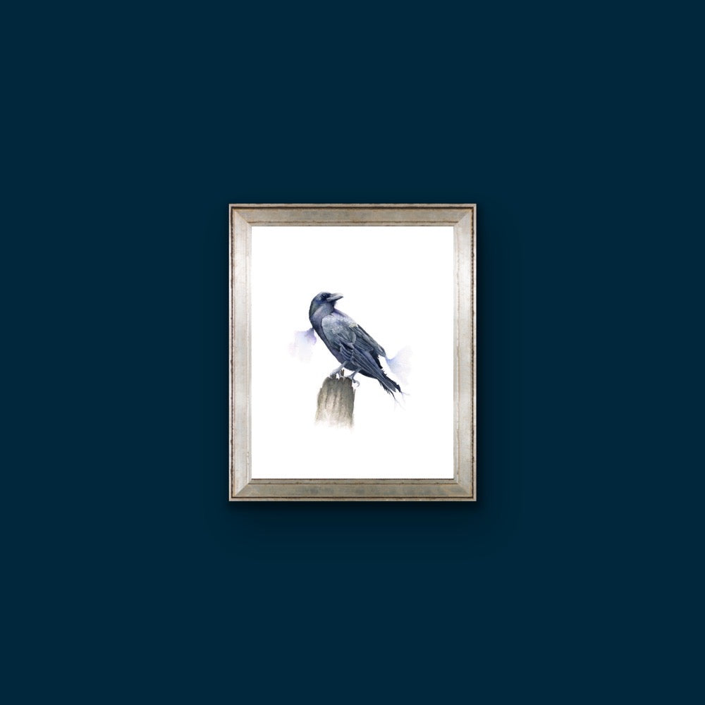 Raven - Original Watercolour
