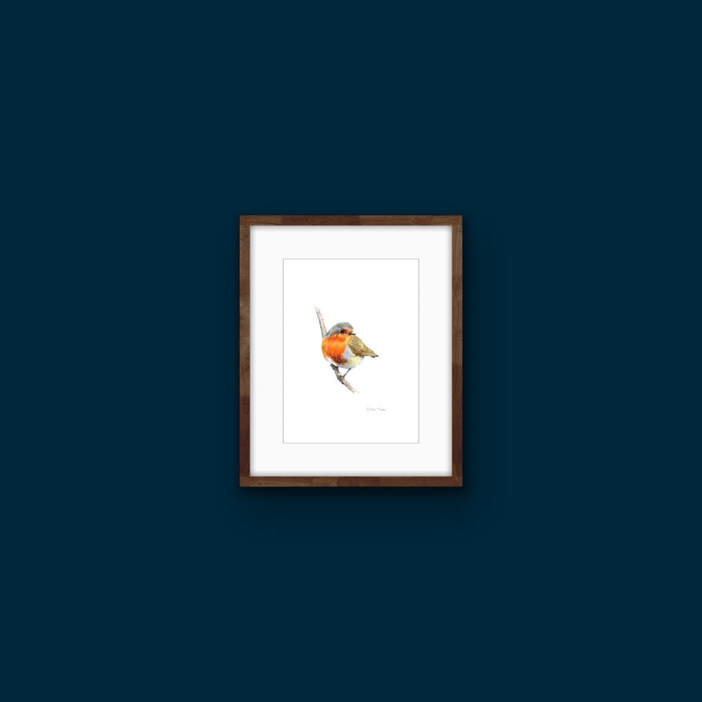 Robin, Fine Art Giclee Limited Edition Print