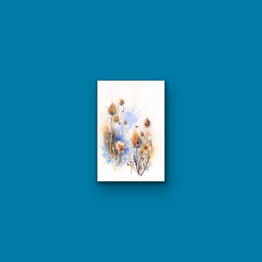 Teasels - Original Watercolour