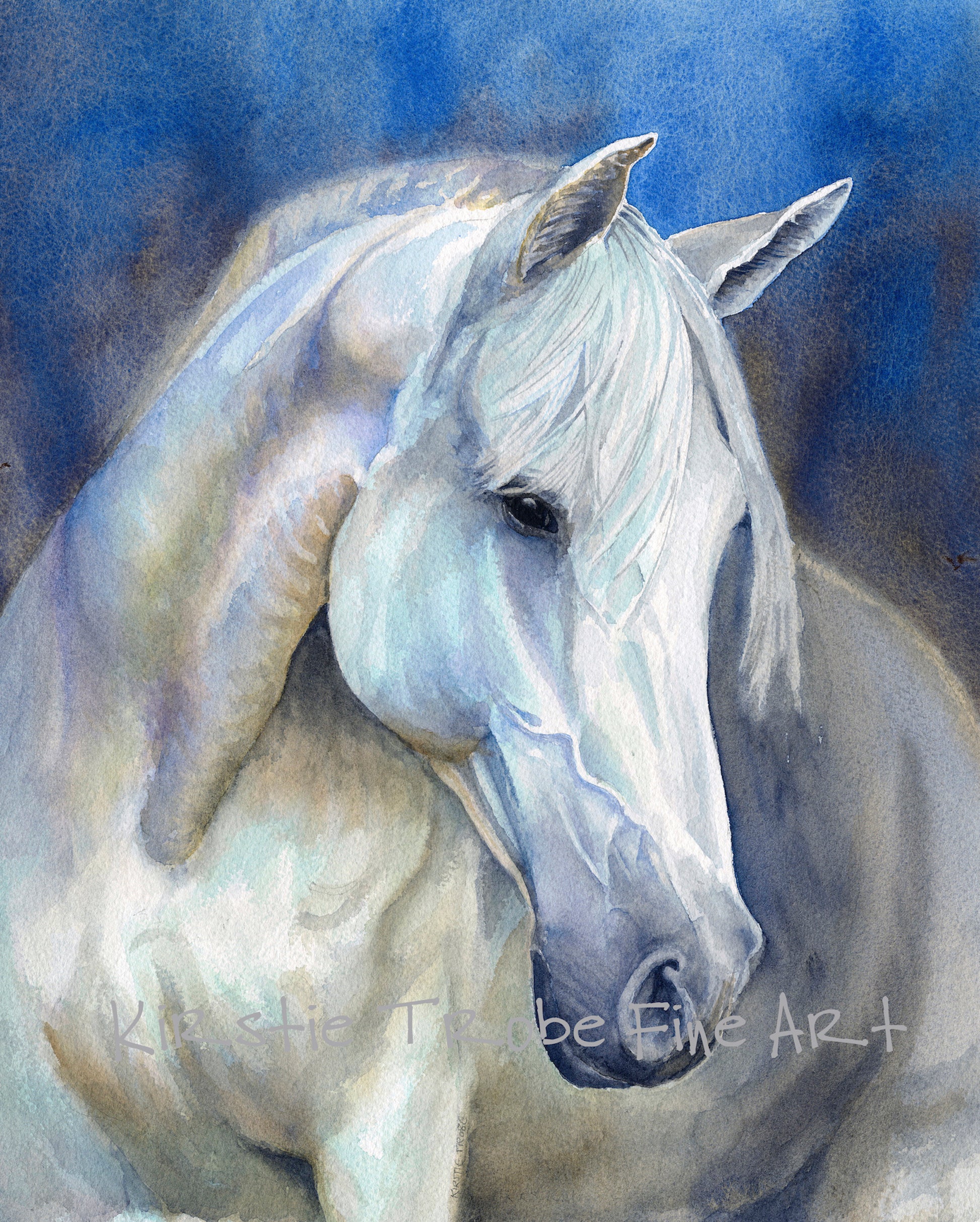 A portrait shot of a grey horse, head turned to the right. Its body is visible to the top of the legs and the reflected blues and purples of the background night sky can be seen on its defined muscles and white mane.