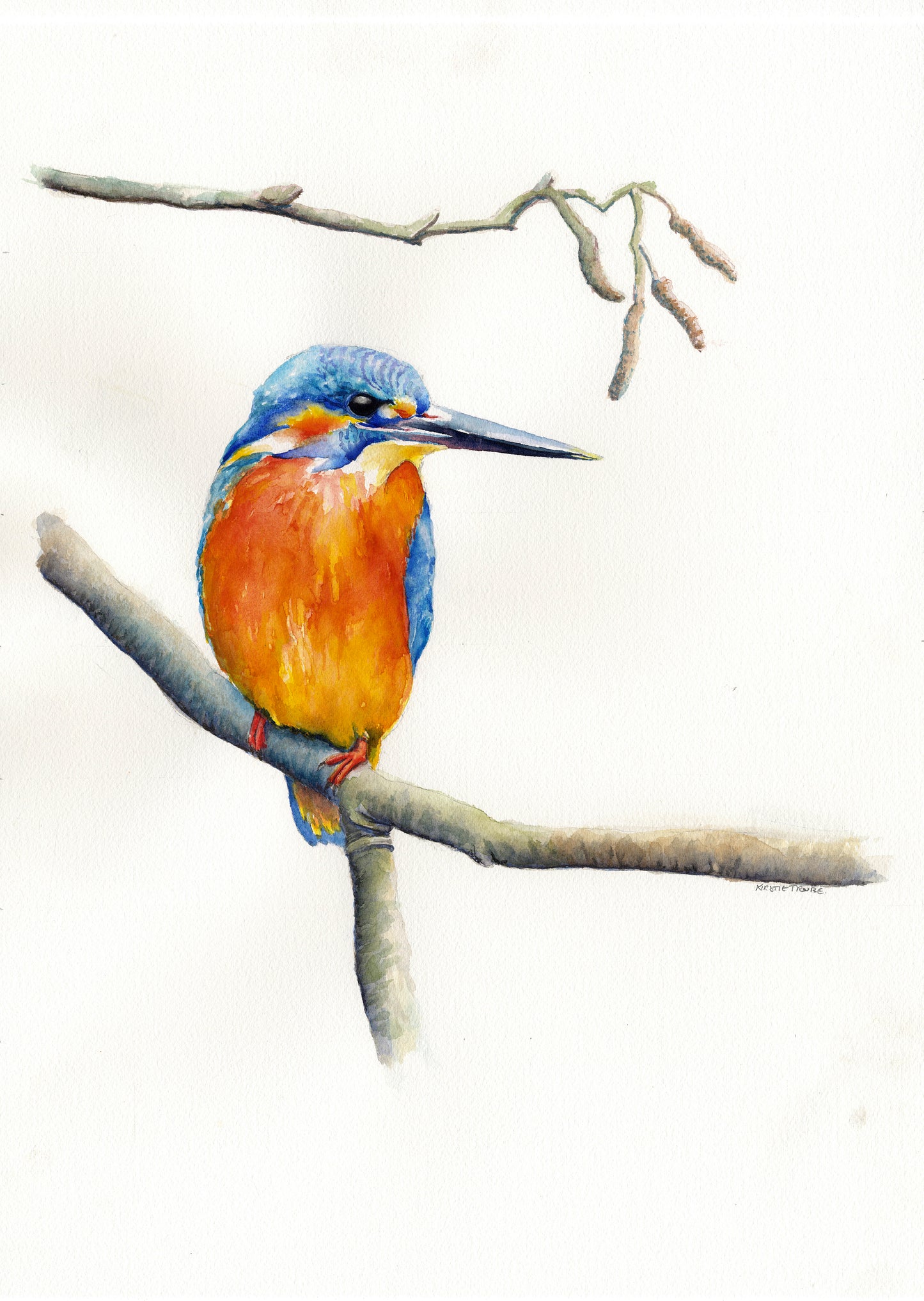 Kingfisher Resting, Fine Art Giclee 10x8" Mini Print