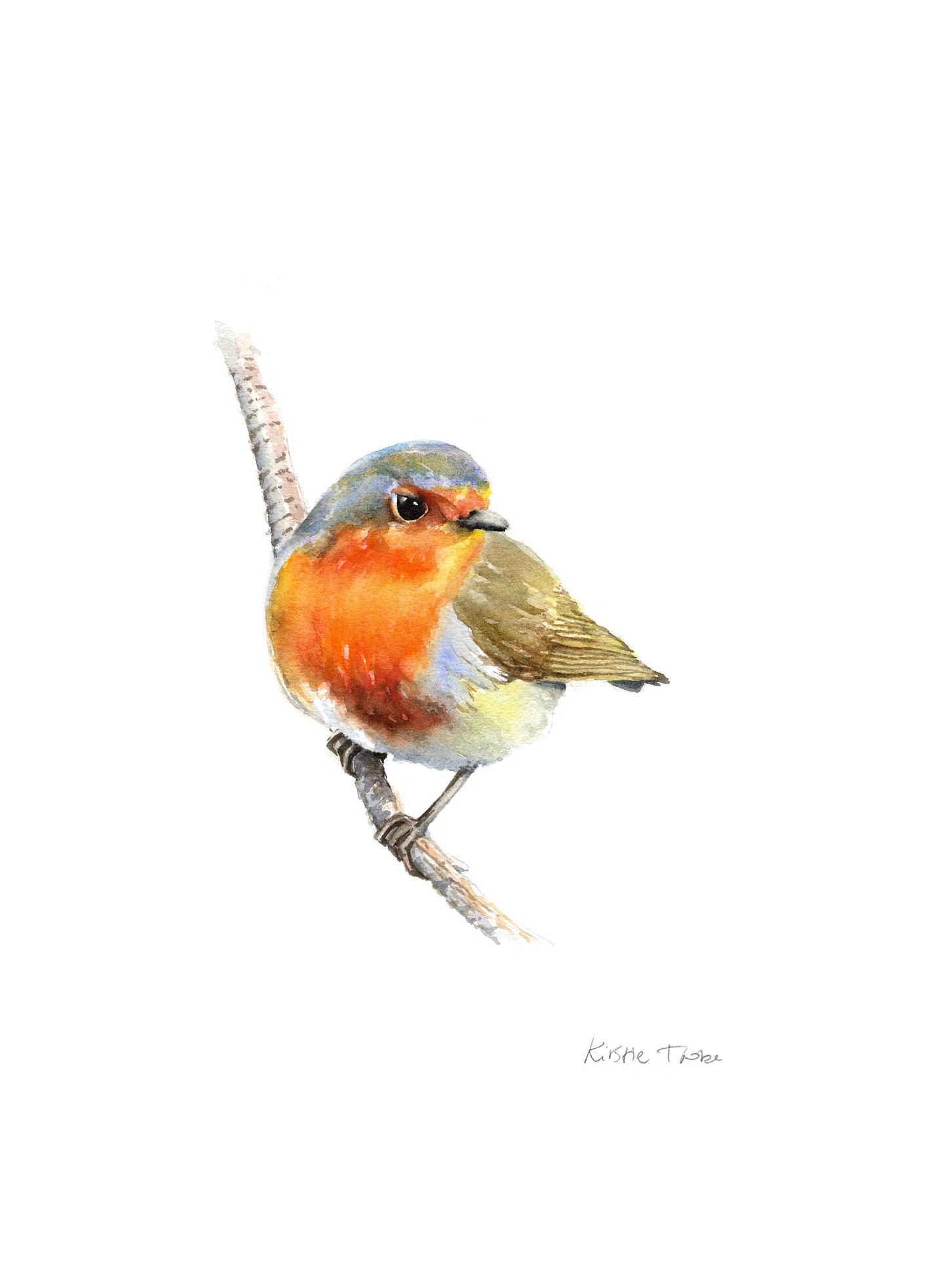 Robin, A5 Greeting Card. Blank inside.