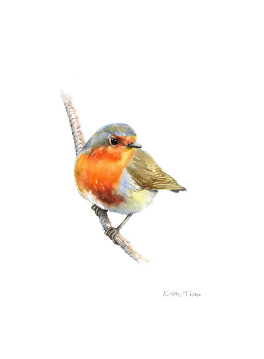 Robin - Original Watercolour SOLD