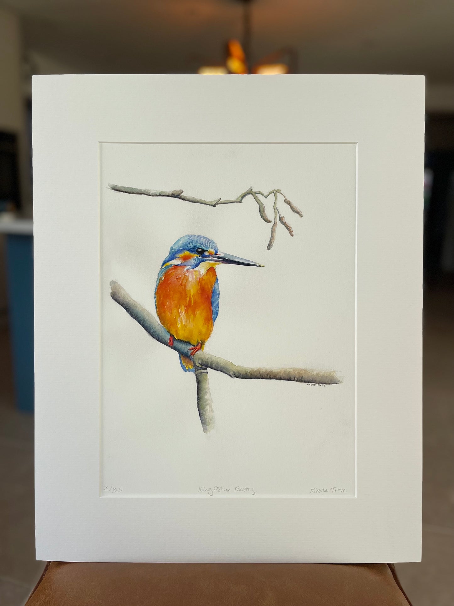 Kingfisher Resting, Fine Art Giclee Limited Edition Print