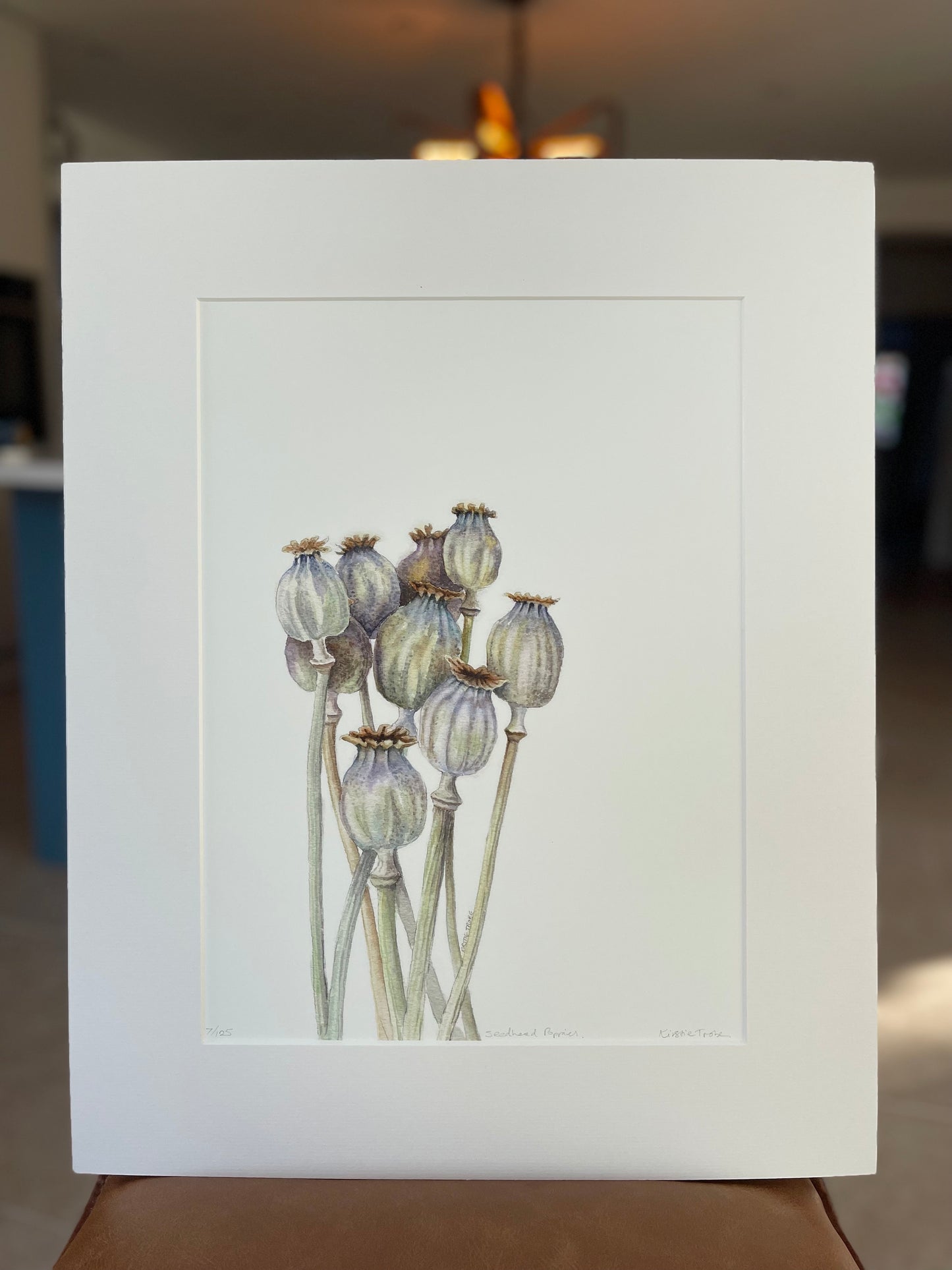 Seedhead Poppies, Fine Art Giclee Limited Edition Print