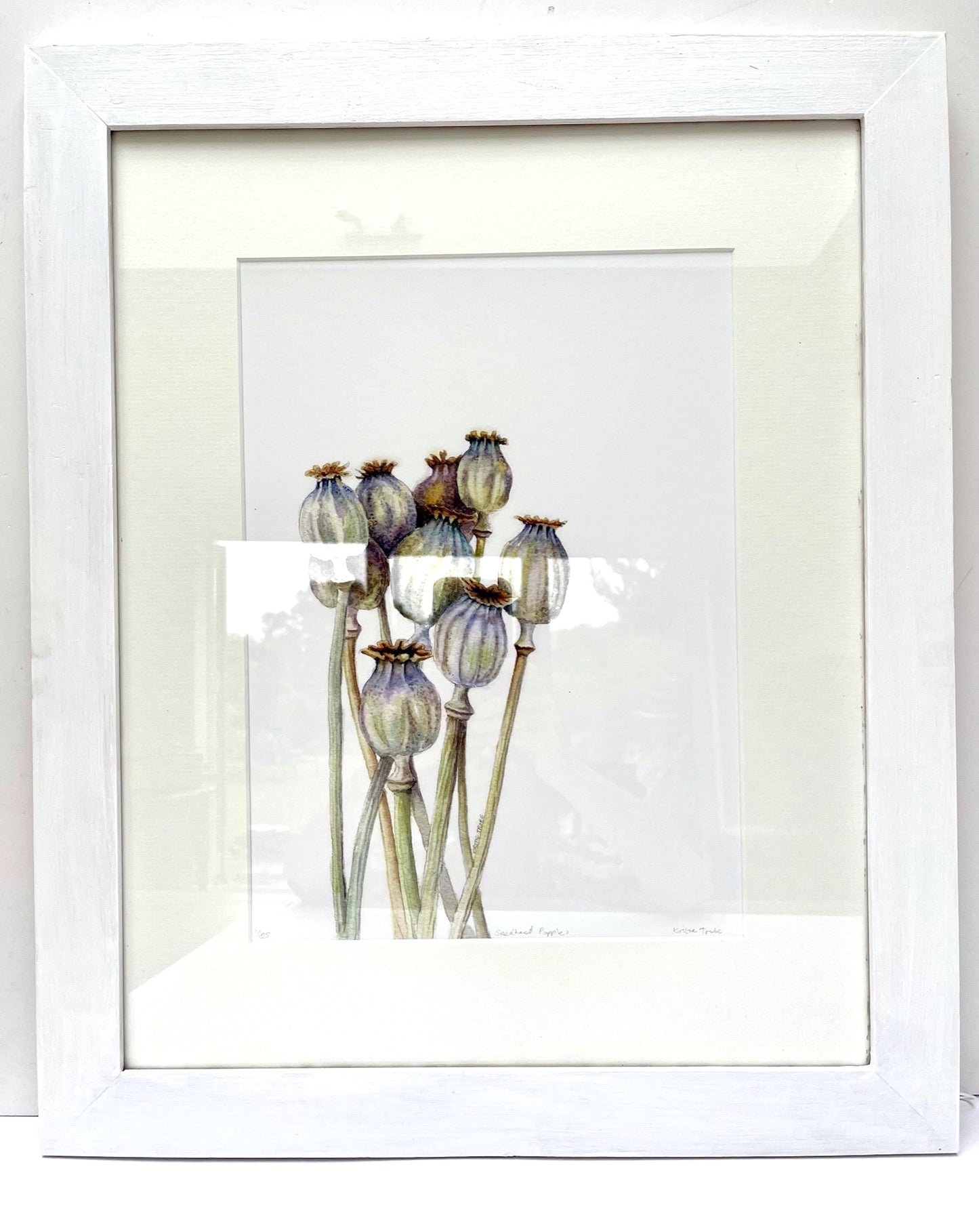 Seedhead Poppies, Fine Art Giclee Limited Edition Print