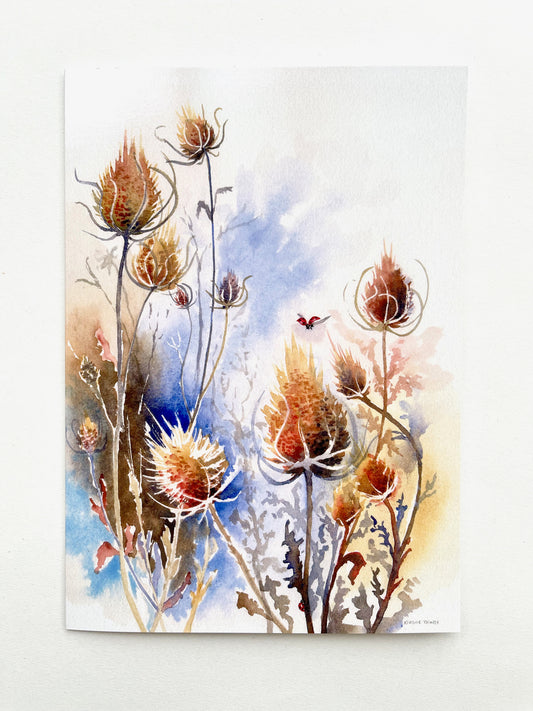 The autumnal colours of the thistles contrast with the blues of the sky beyond. A ladybird flies in to find shelter amongst the teasels and another scurries up a stem.