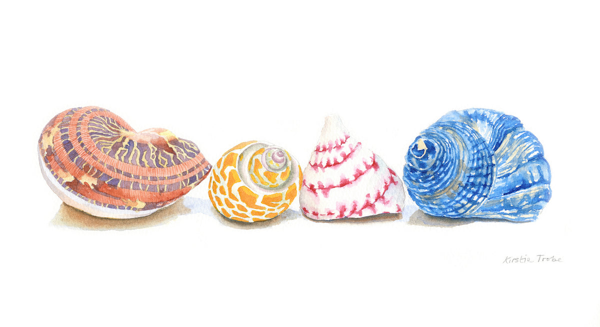 Four Seashells