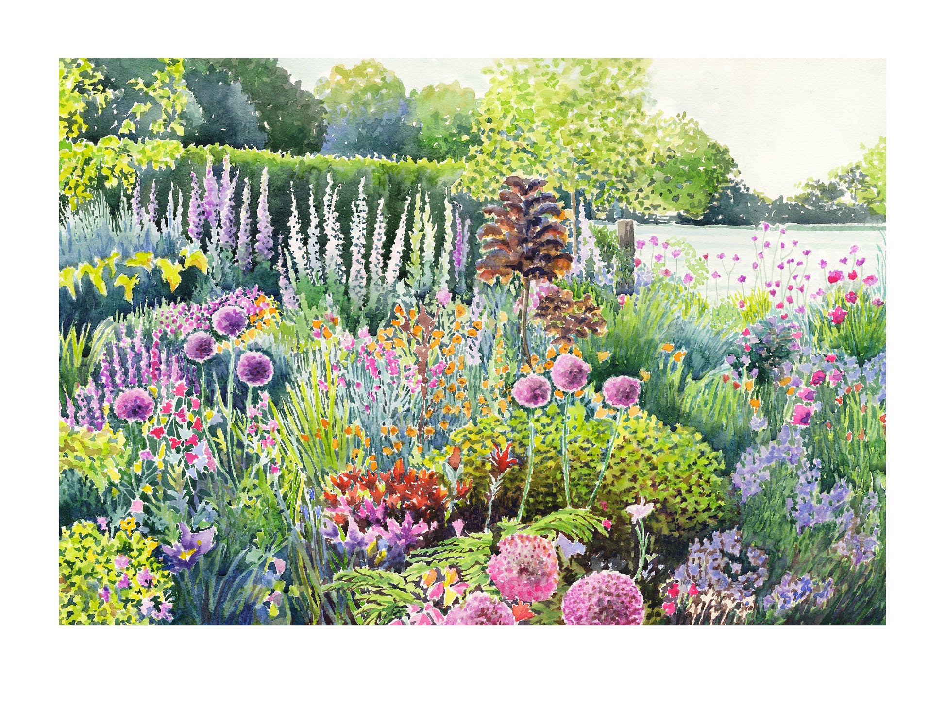 Colourful Spring Summer garden landscape watercolour painting with flowers and plants in foreground and field behind