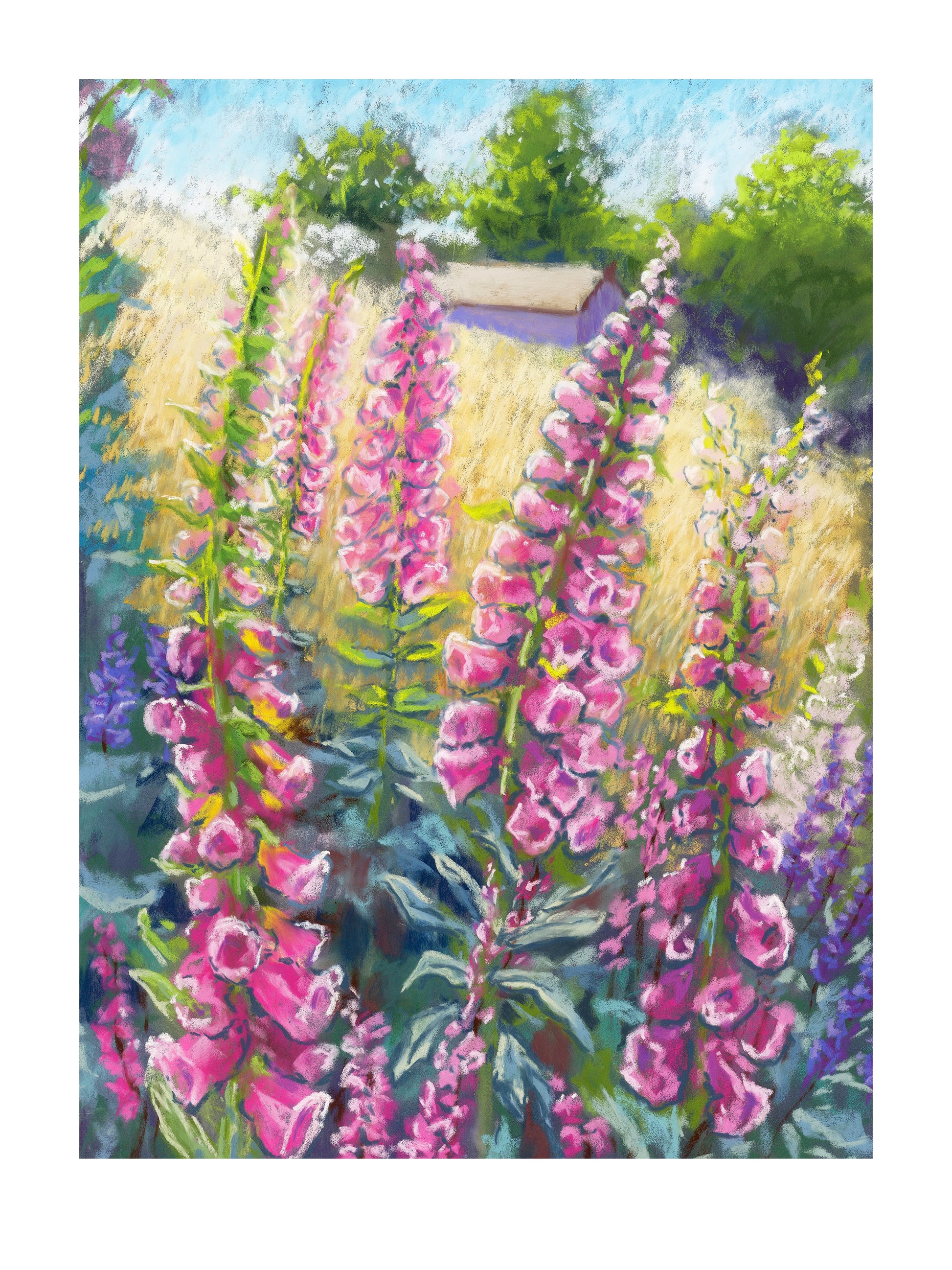Pink foxgloves in the foreground with a field and building in the background landscape
