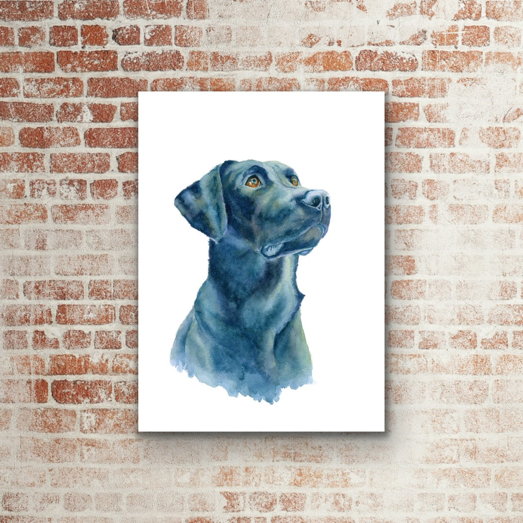 That Lab Look, Fine Art Giclee Limited Edition Print