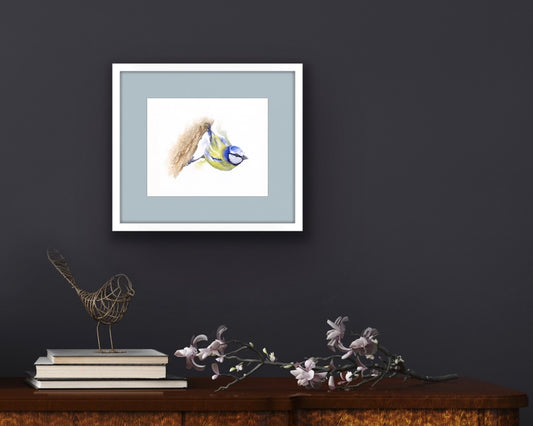 Bluetit, Fine Art Giclee 10x8" Mini Print