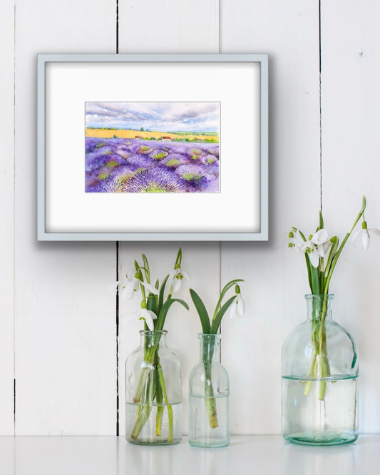 Cotswold Lavender, Fine Art Giclee 10x8" Mini Print