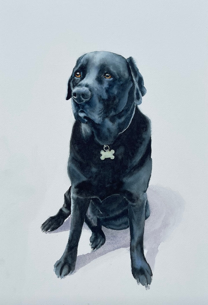 Harry – Kirstie Trobe Fine Art