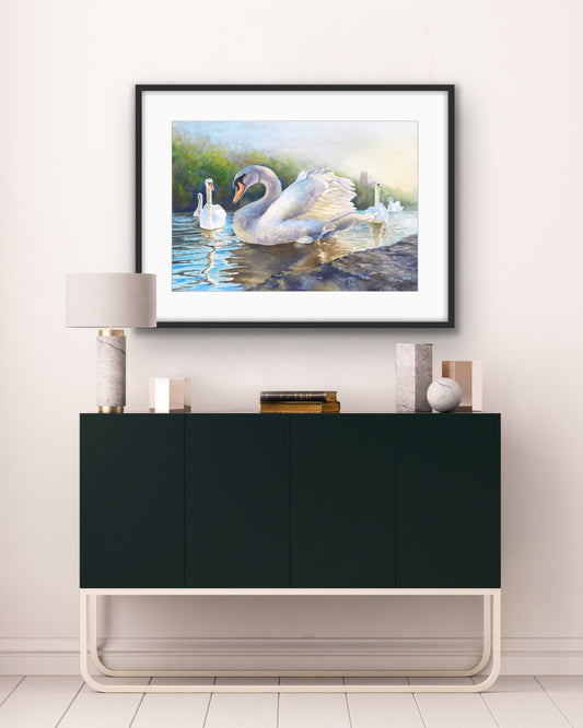 Severn Swans, Fine Art Giclee Limited Edition Print