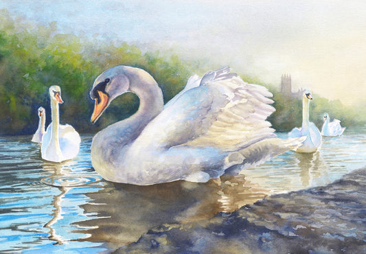 Severn Swans, Fine Art Giclee 10x8" Mini Print