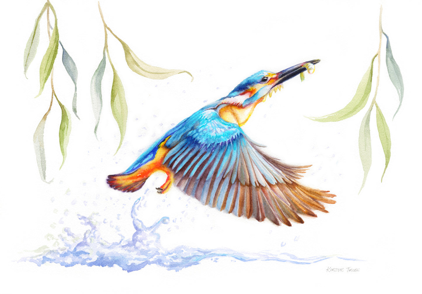 Kingfisher Fishing, Fine Art Giclee 10x8" Mini Print