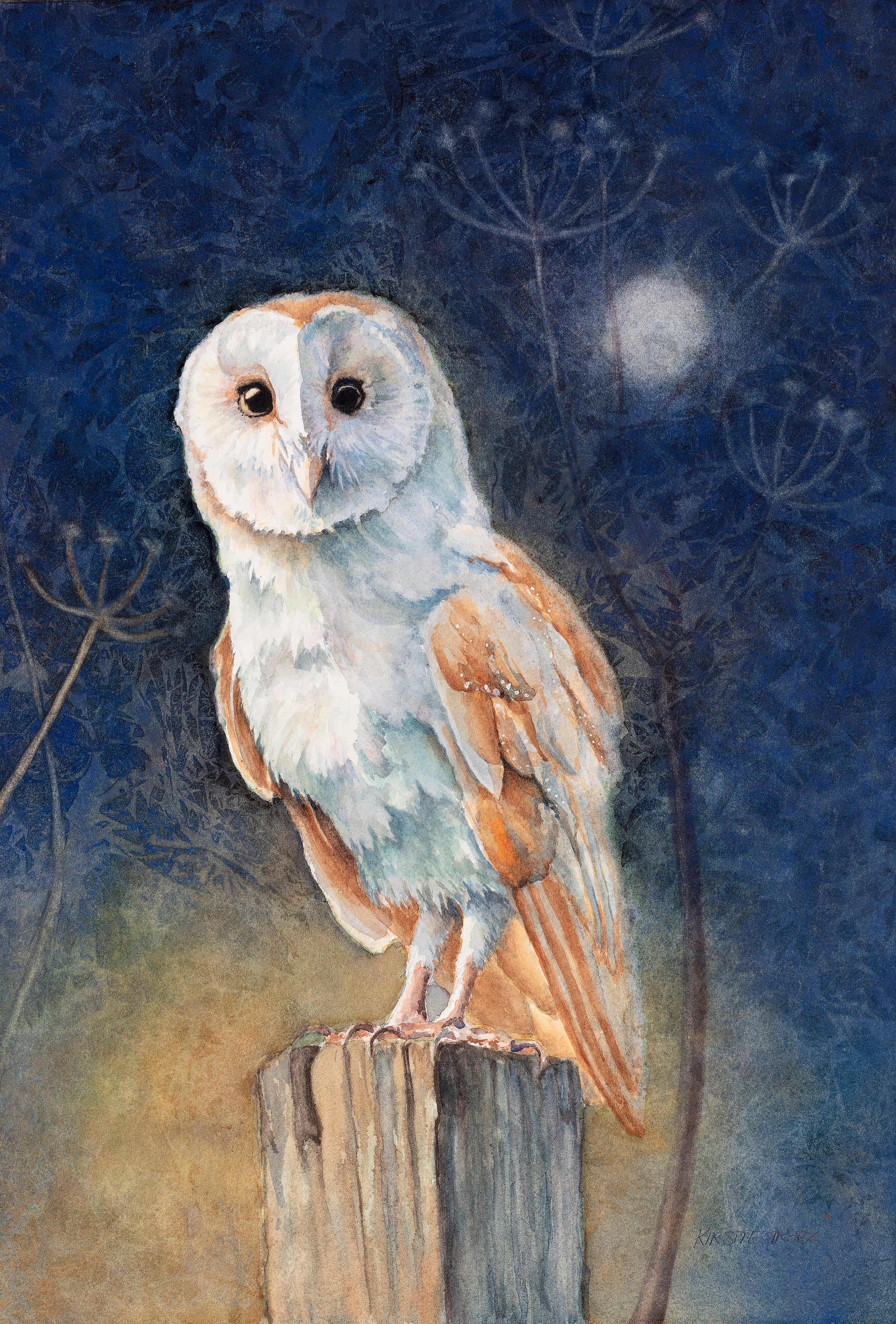 Night Owl - Original Watercolour – Kirstie Trobe Fine Art