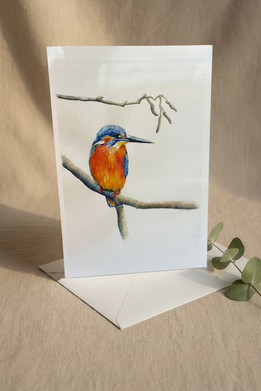 Kingfisher Resting