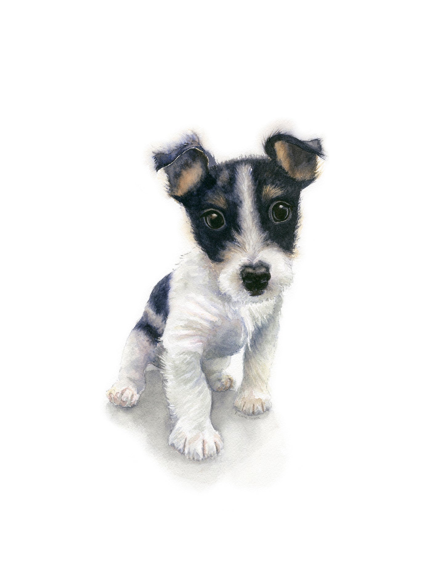 Abandoned Puppy. Image of a cute abandoned Jack Russell puppy staring imploringly out at the viewer. Centrally positioned against a white background. The puppy has a white body with black and tan markings and soft tufts of wiry fur around his muzzle and ears. The original painting will fit a 20 x 16 inch frame when mounted.