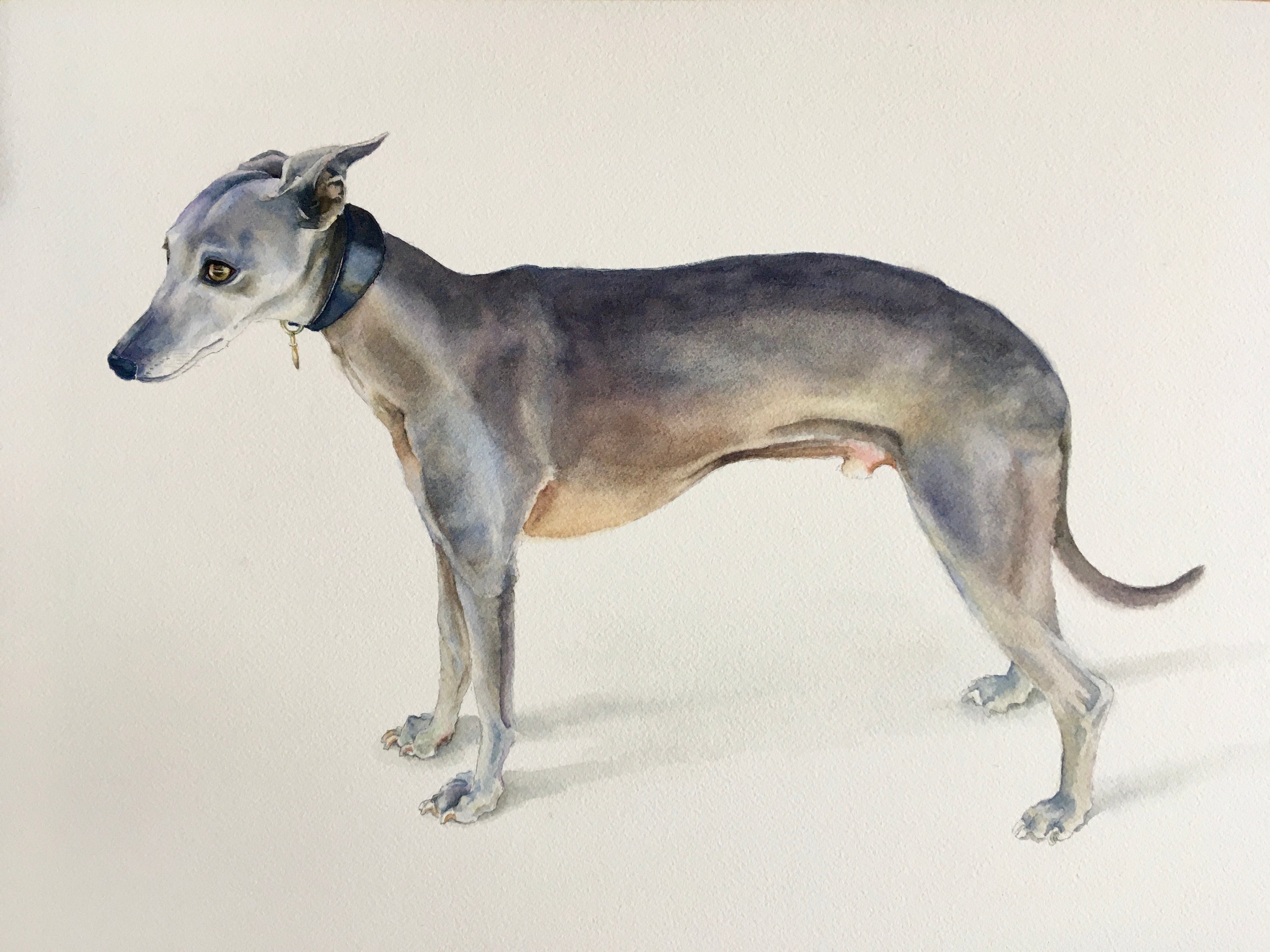 Kirstie Trobe Fine Art