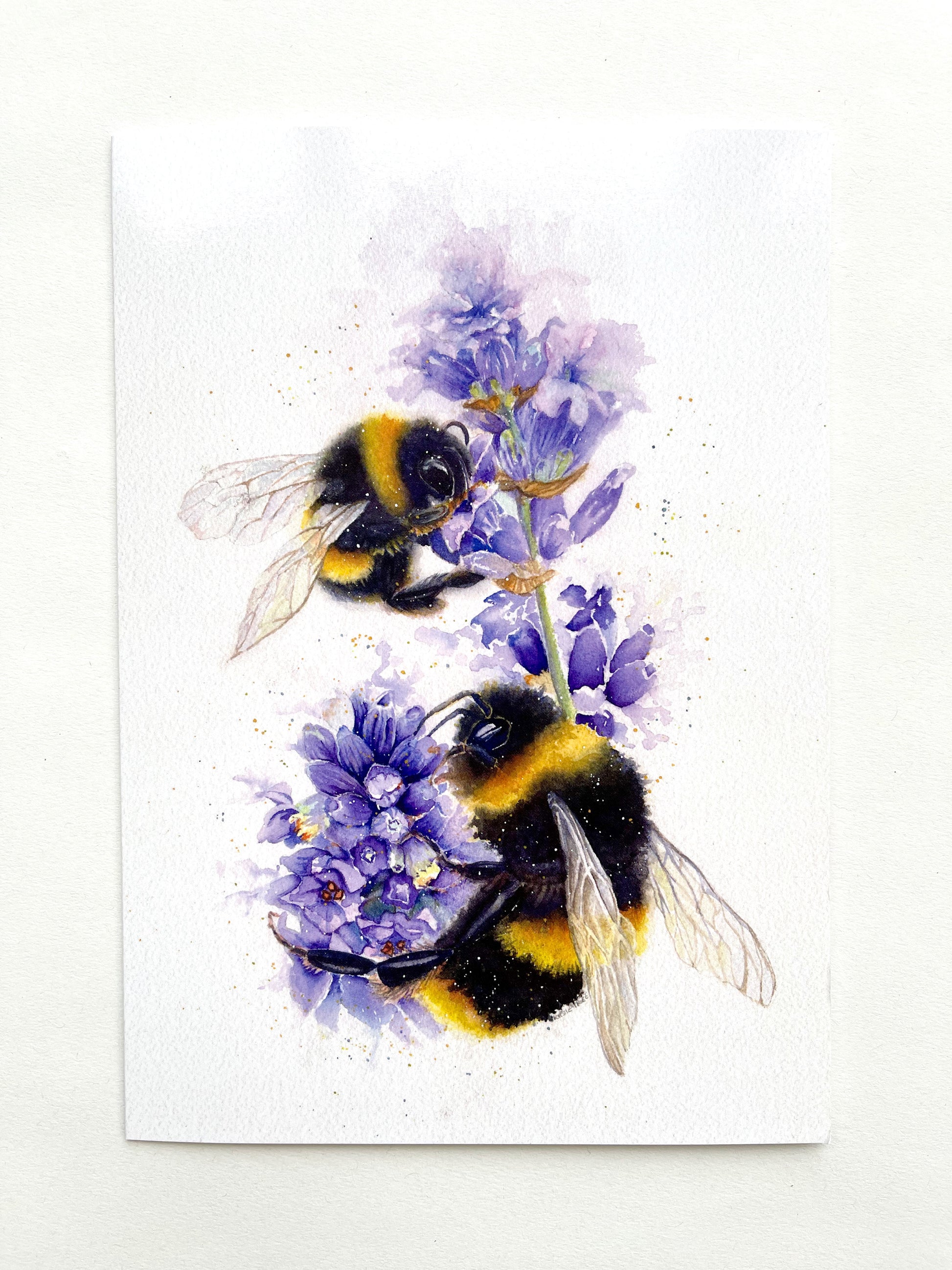 Two fluffy fuzzy bumble bees feed on two lavender flowers. They are depicted in a portrait fashion, the top bee is smaller and further away. The bees form a Ying and Yang shape.