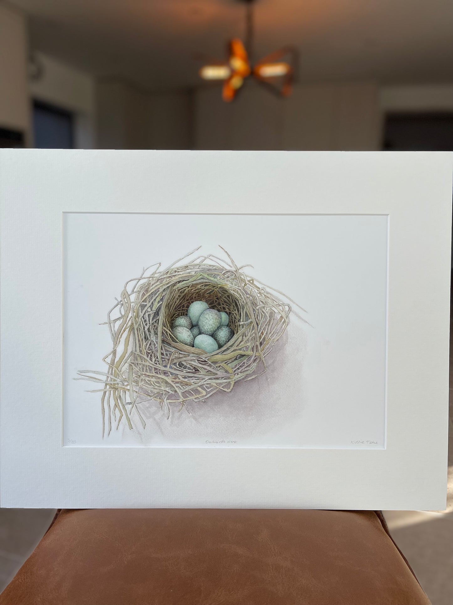Blackbird's Nest, Fine Art Giclee Limited Edition Print