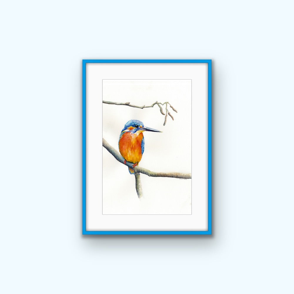Kingfisher Resting - Original Watercolour
