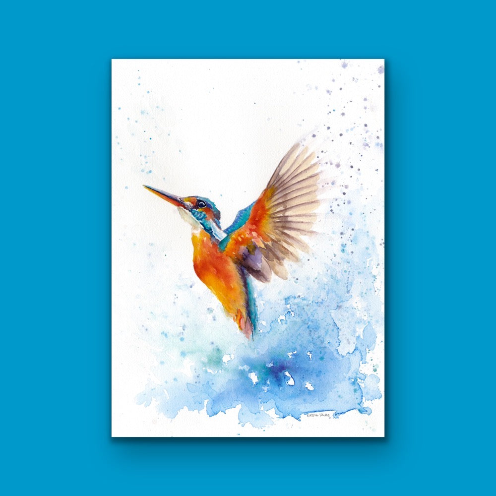 Kingfisher in Flight, Fine Art Giclee Limited Edition Print